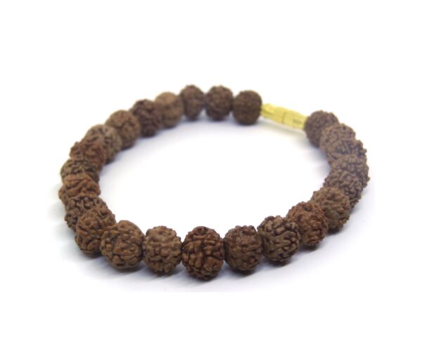 7 Mukhi Rudraksha Bracelet